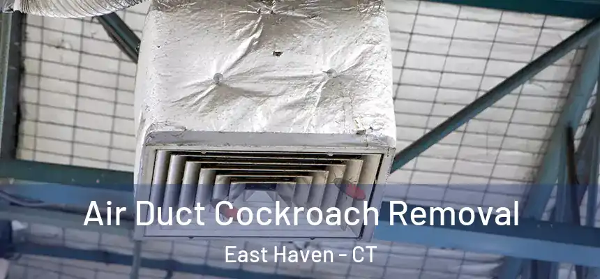 Air Duct Cockroach Removal East Haven - CT