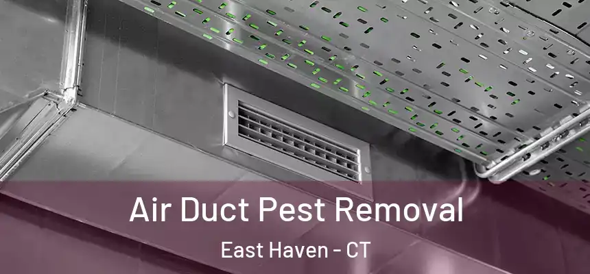 Air Duct Pest Removal East Haven - CT