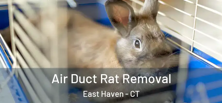 Air Duct Rat Removal East Haven - CT
