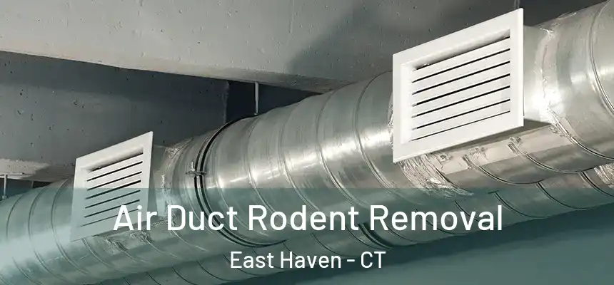 Air Duct Rodent Removal East Haven - CT