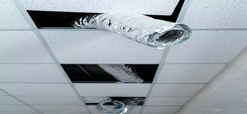 Affordable HVAC Sanitizing After Pest Removal in East Haven