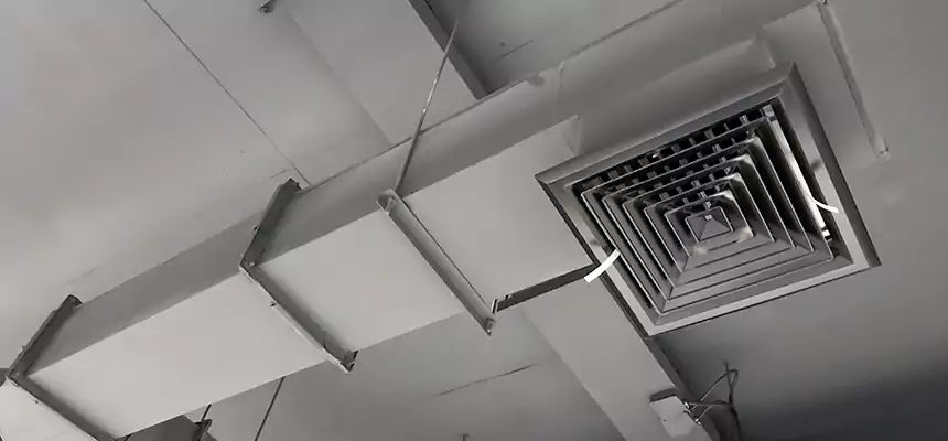 Our Rodent Droppings In Vents Services in East Haven, CT