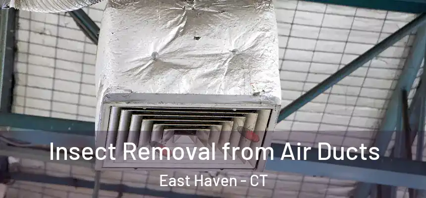 Insect Removal from Air Ducts East Haven - CT