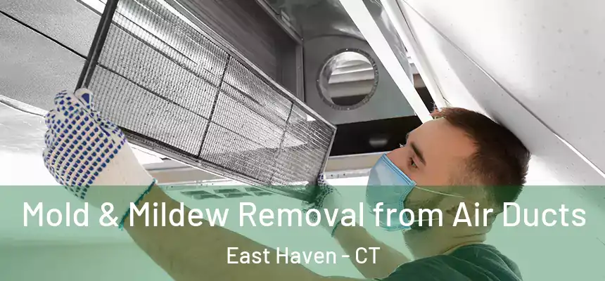 Mold & Mildew Removal from Air Ducts East Haven - CT