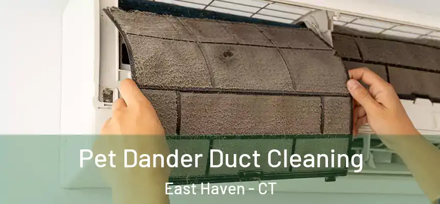 Pet Dander Duct Cleaning East Haven - CT