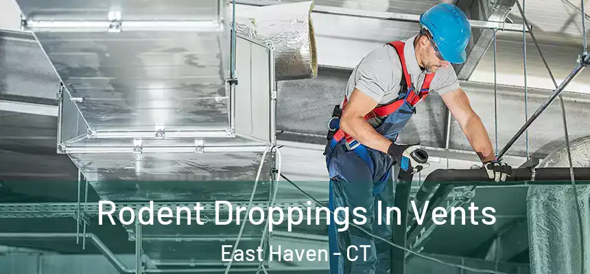 Rodent Droppings In Vents East Haven - CT