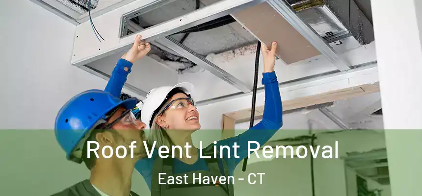Roof Vent Lint Removal East Haven - CT