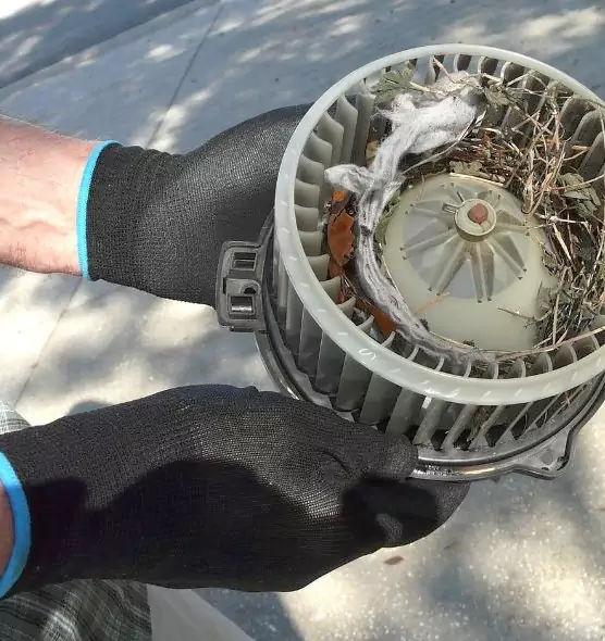 About Air Duct Rat Removal in East Haven, CT