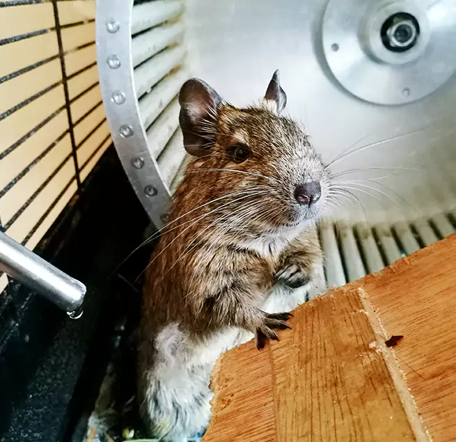 Why Homeowners & Businesses Trust Us East Haven, CT