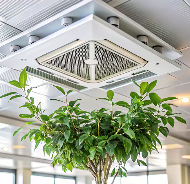 Why Homeowners & Businesses Trust Us in East Haven, CT?