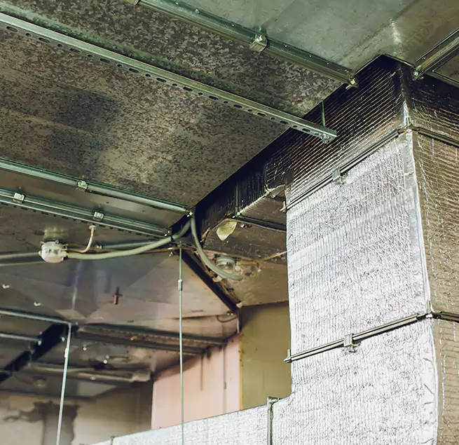 Why Homeowners & Businesses Trust Us in East Haven, CT?